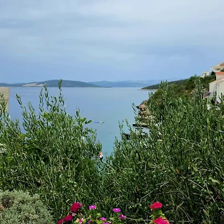 Peggy * マスリニカ