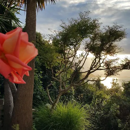 アパート Peggy *